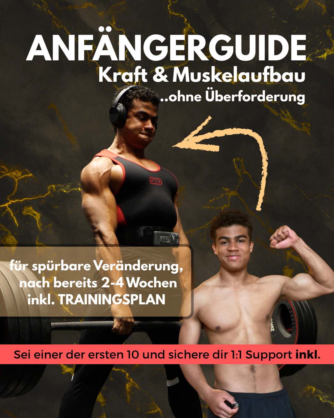 Kraft und Muskelaufbau ANFÄNGER-GUIDE